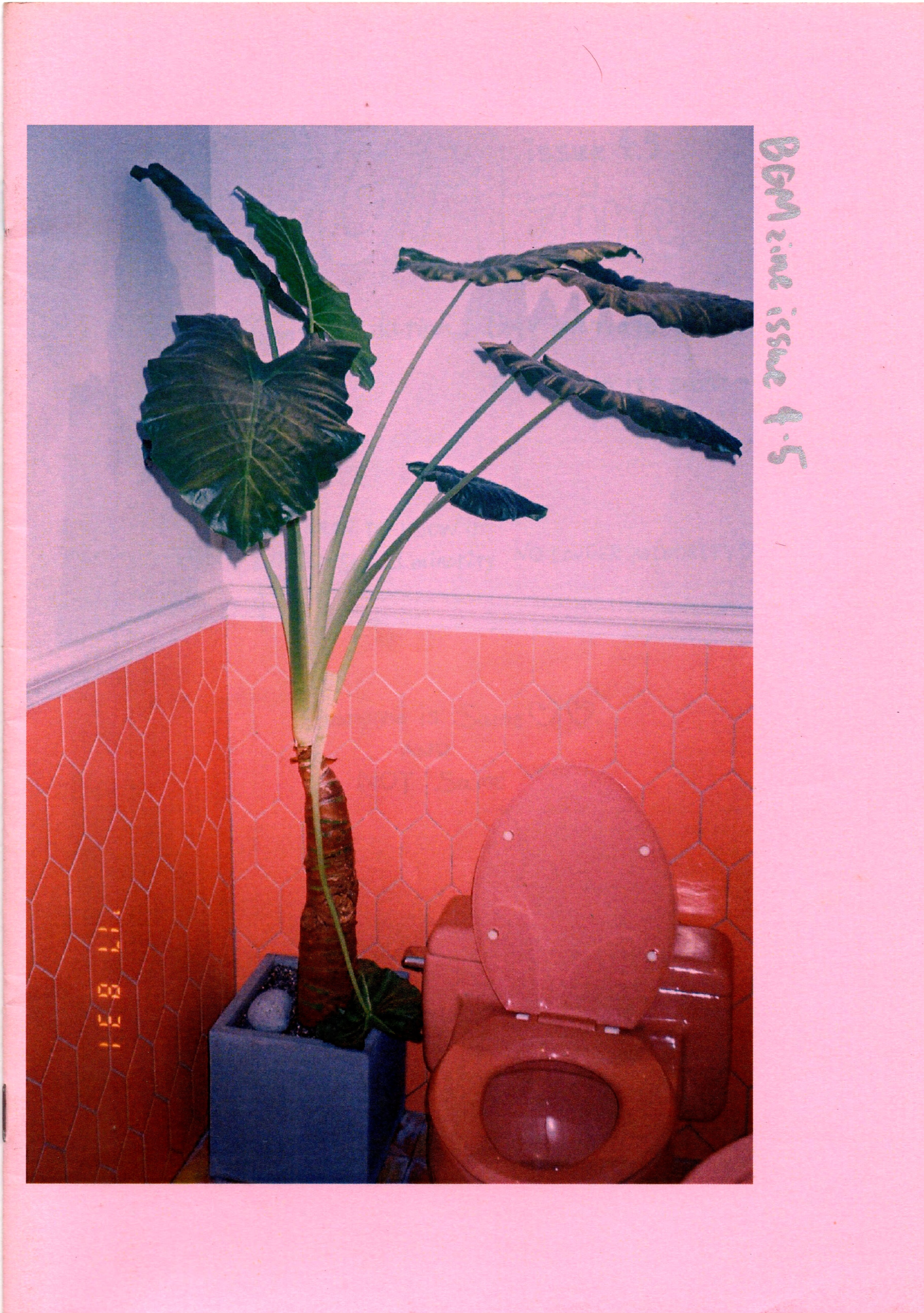 BGM Zine Issue 4.5