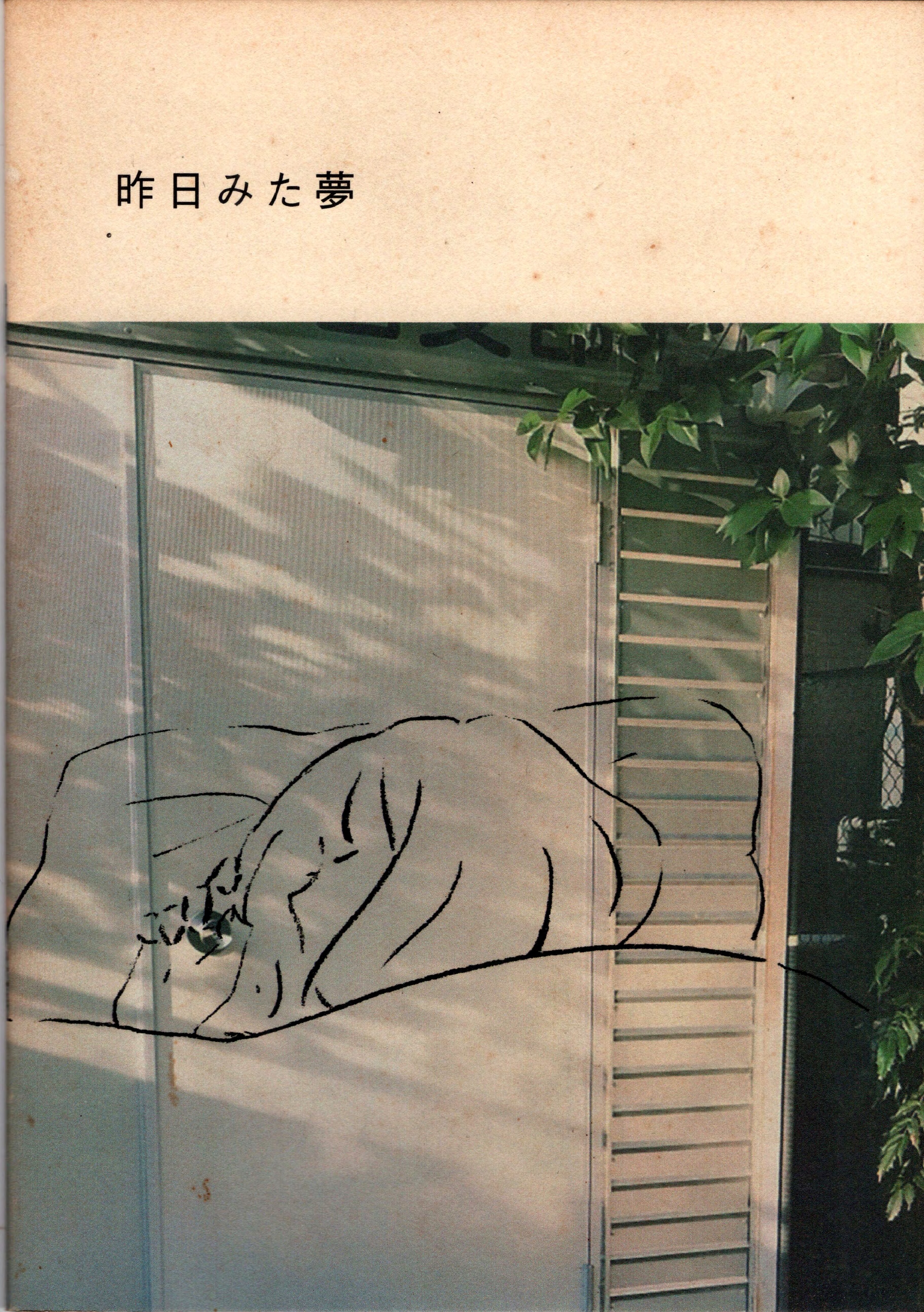 昨日みた夢
