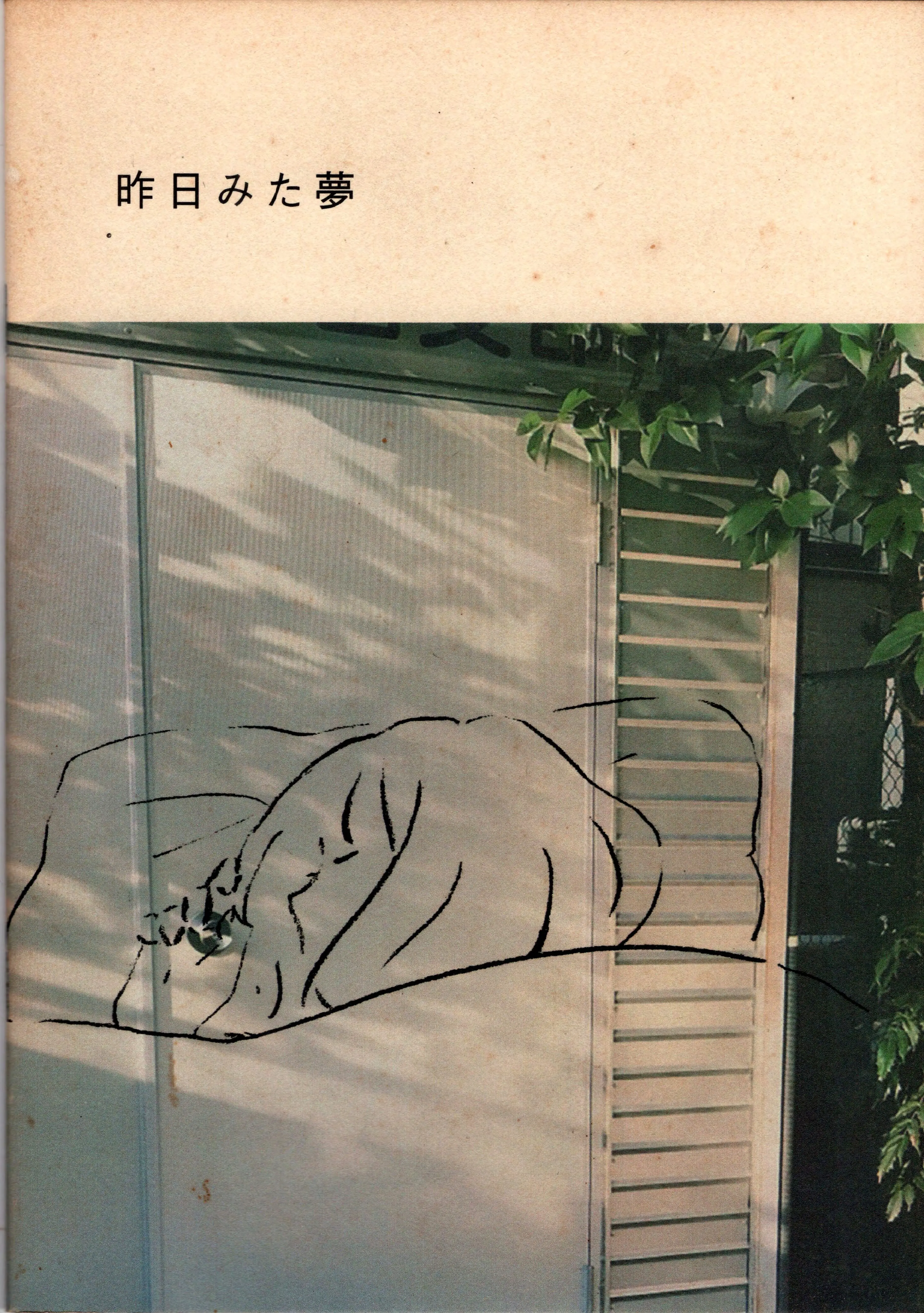 昨日みた夢