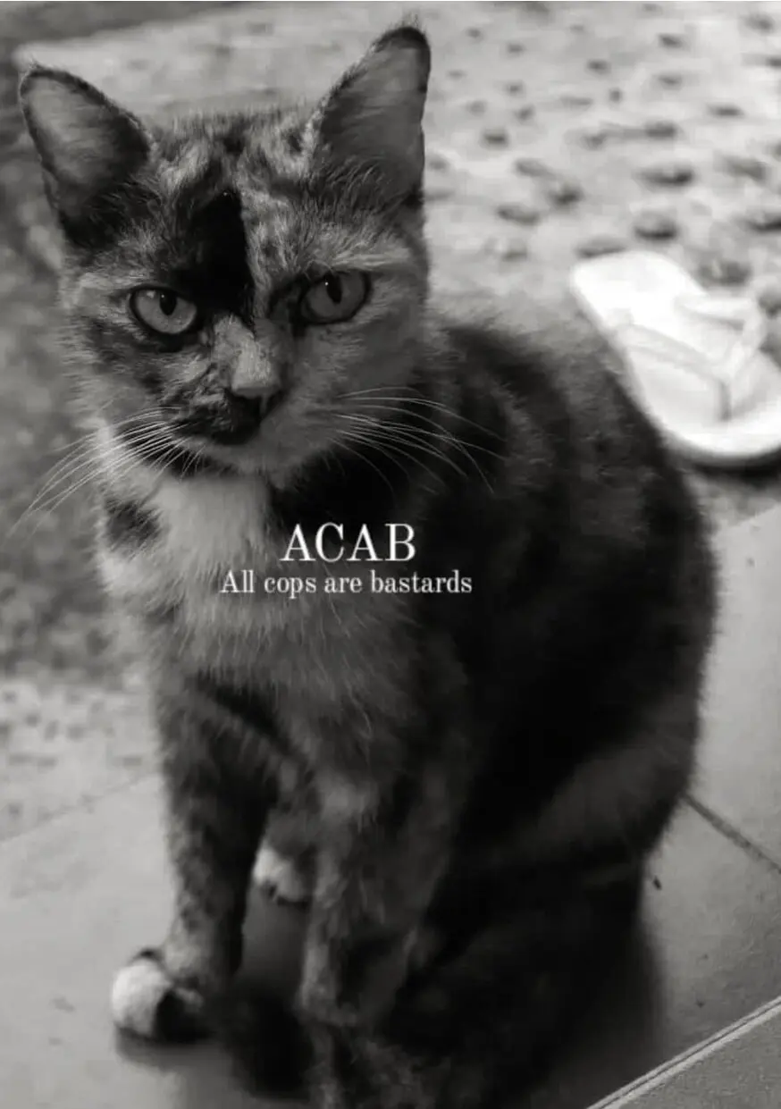 ACAB: All Cops Are Bastards