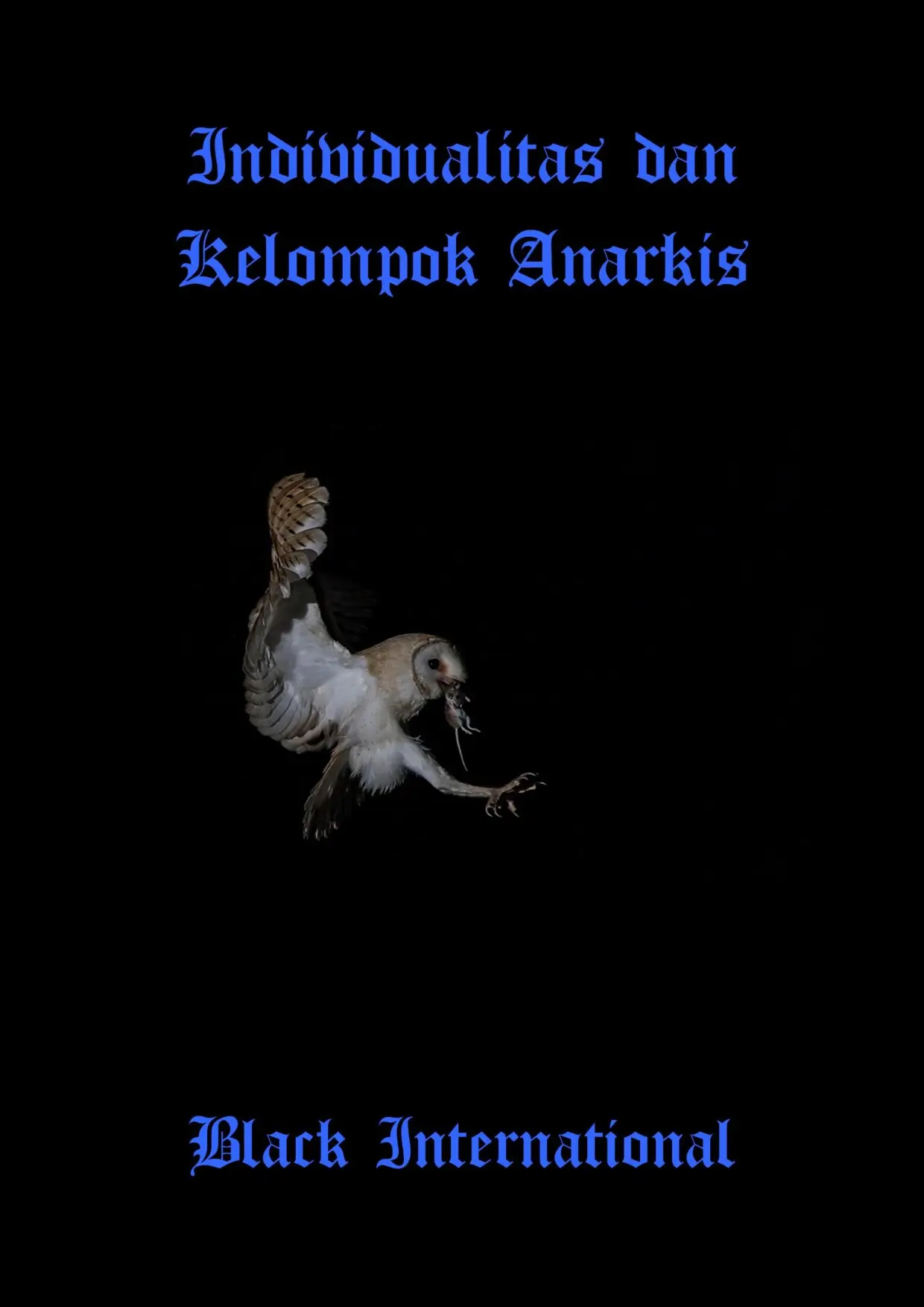 Individualitas dan Kelompok Anarkis