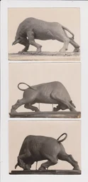 Studi Patung Banteng Monas