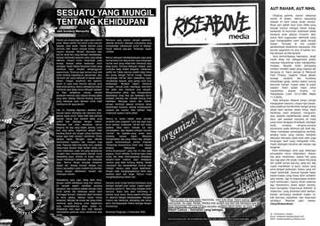 Newsletter Rise Above Media
